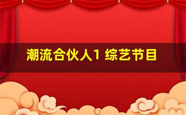 潮流合伙人1 综艺节目